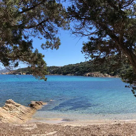 Sterlizia Όλμπια